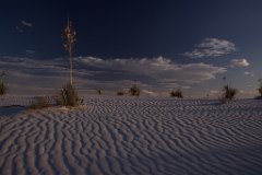 22_White Sands National Monument_08